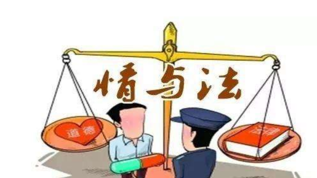 小伙入户盗窃反救女主人不追责法律依据是合理的